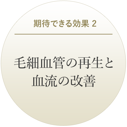 毛細血管の再生と血流の改善