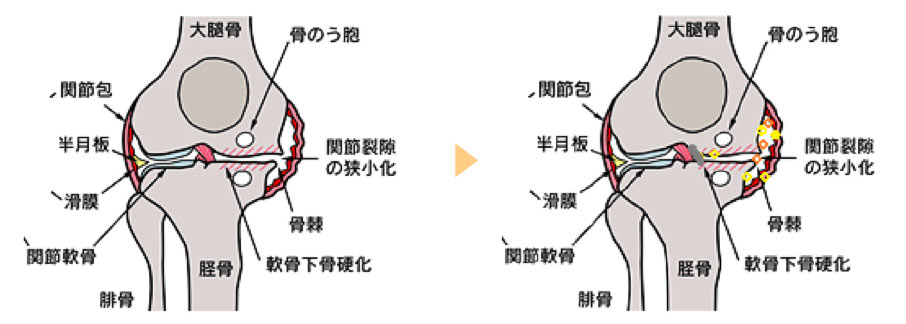 治療の効果